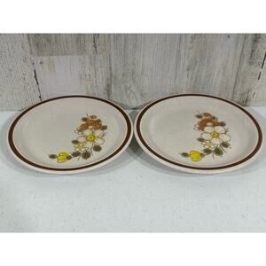 Vintage Woodhaven Collection Stoneware‎ Sunny Brook Bread Plates Lot of 2 Japan